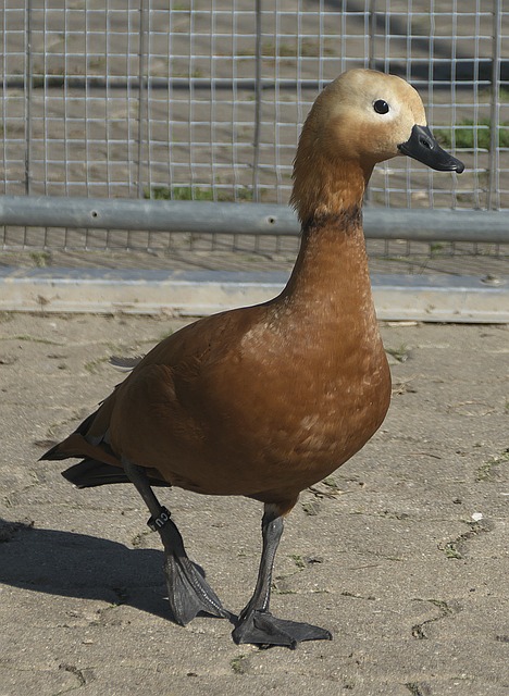 img1.png